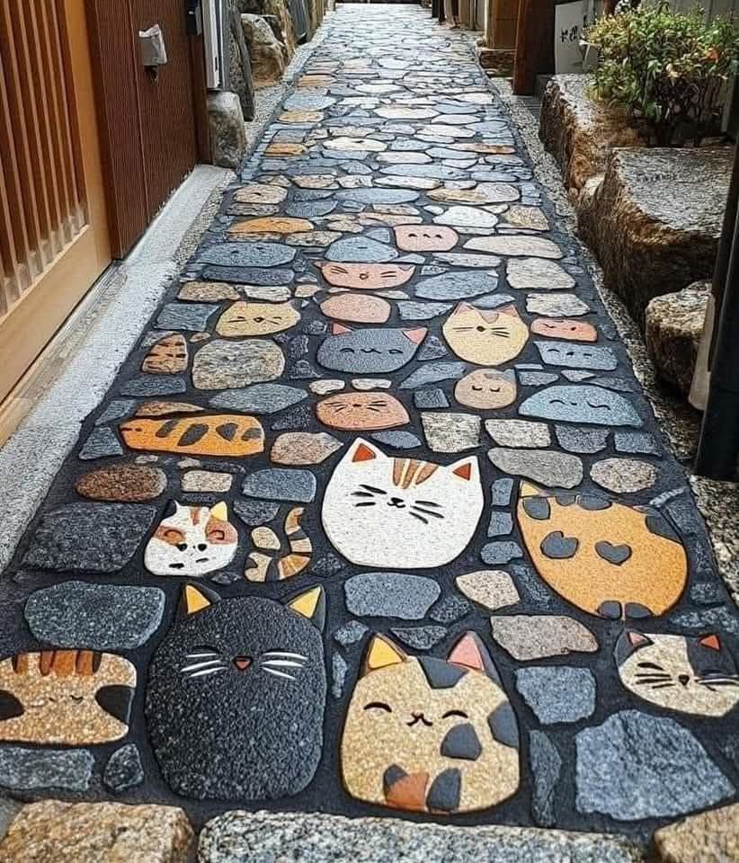 Cat-Friendly Paths And Islands In Japan