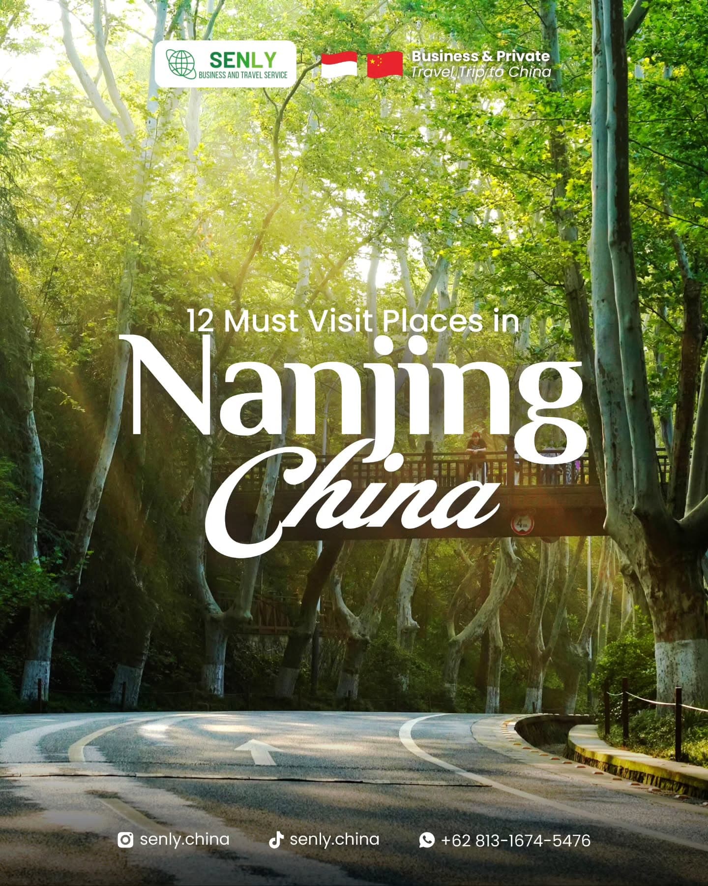 12 Nanjing Attractions: Temples, Roads, and Mausoleums