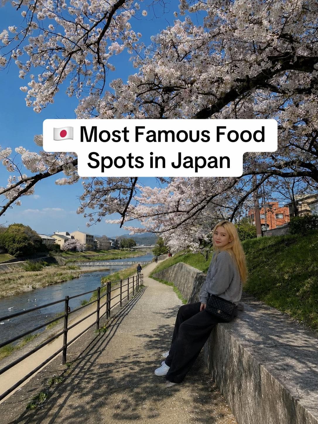 Iconic Japanese Food Destinations Across Tokyo and Osaka
