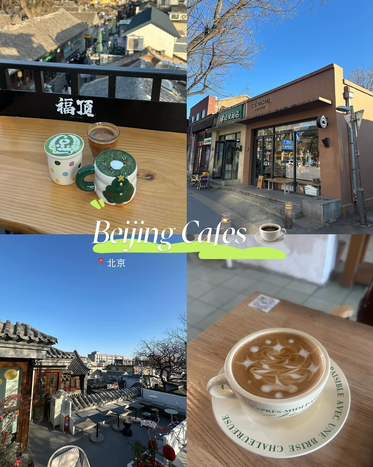 Cafes in Beijing With Cats and Great Ambience
