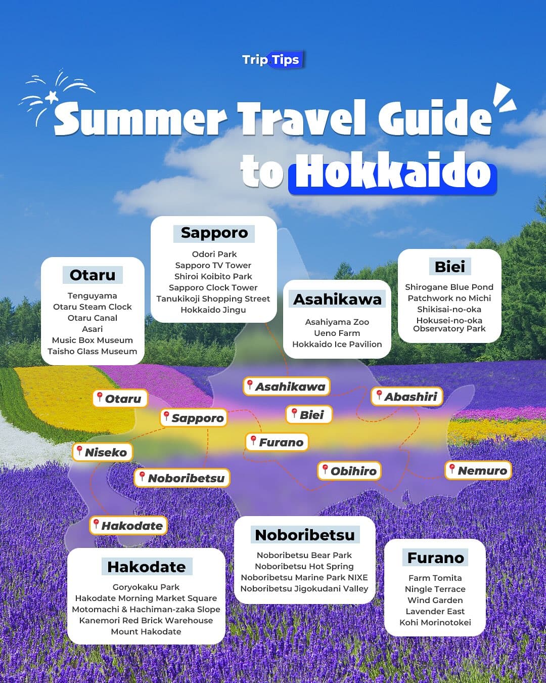 Hokkaido's Top Summer Attractions and Scenic Routes