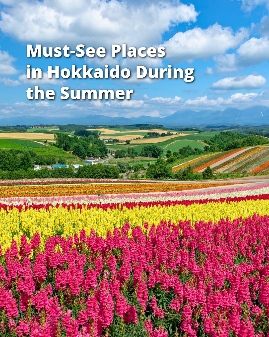 Hokkaido's Summer Wonders: Flowers, Lakes, and Hot Springs