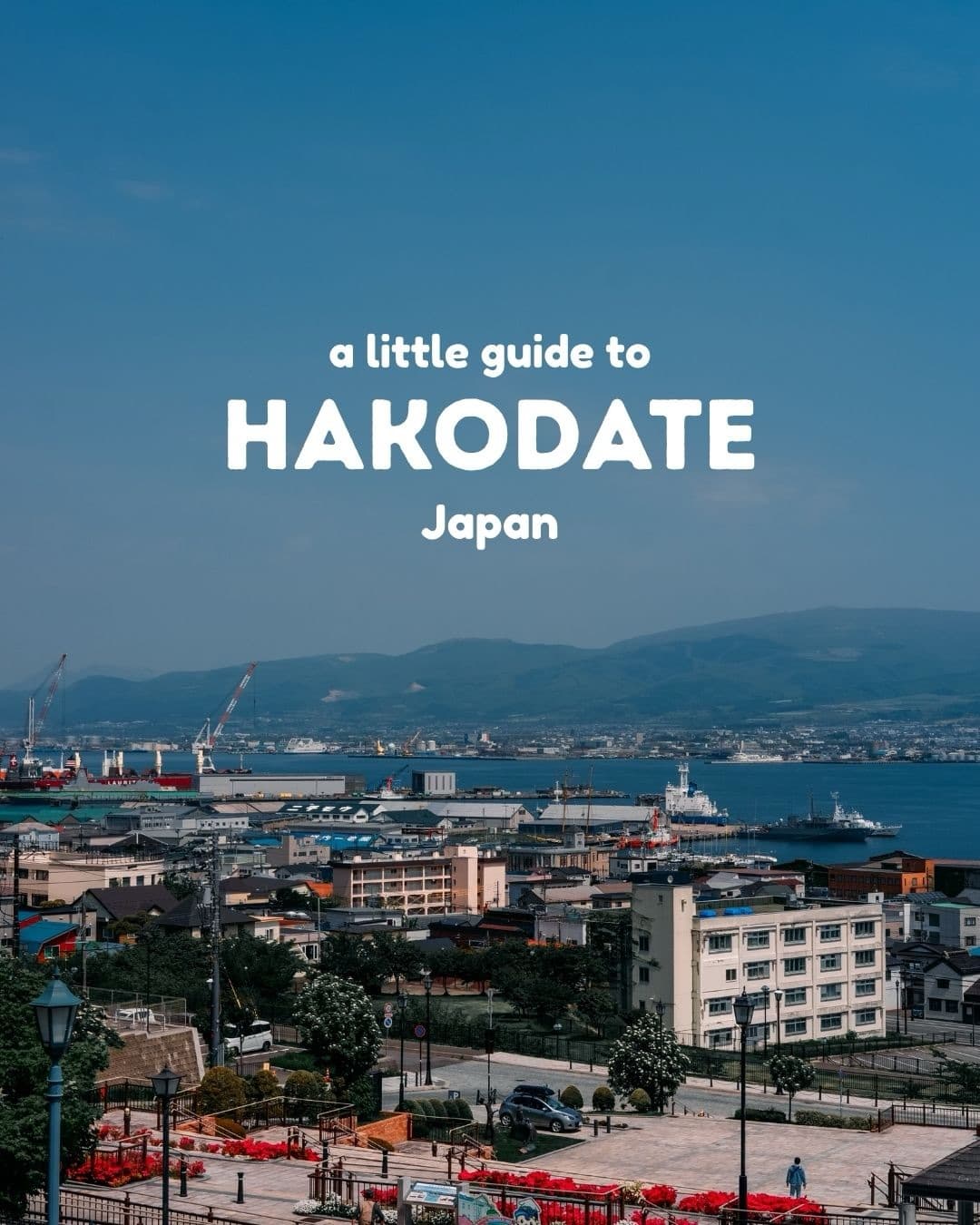 Explore Hakodate's Historic Sites and Ocean Views