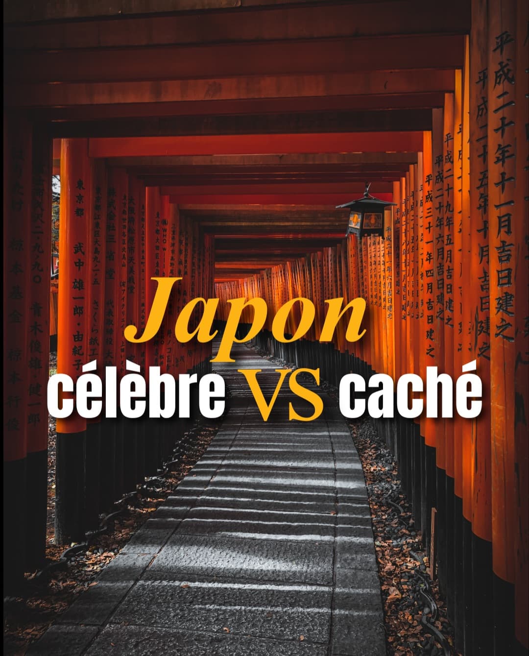 Discover Japan's Hidden Gems Beyond Tourist Hotspots