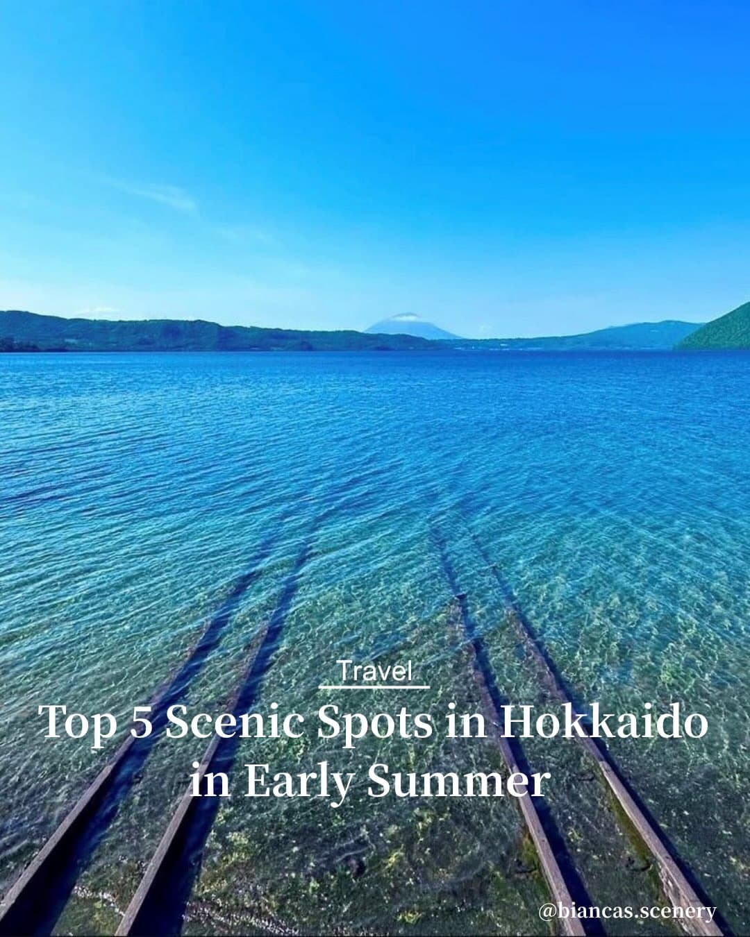 Hokkaido's Scenic Summer Flower Spots