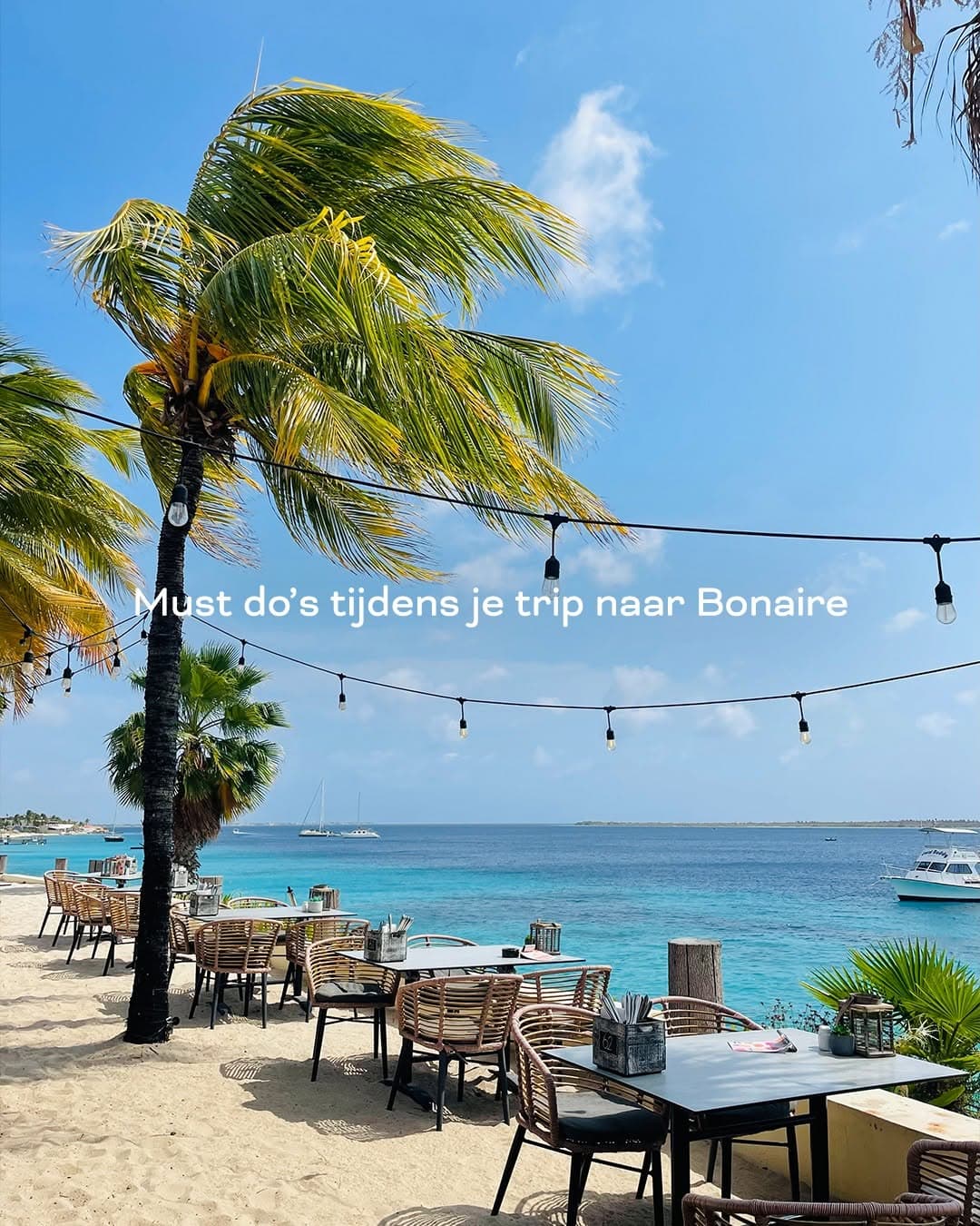 Top Bonaire Attractions: Beaches, Nature, and Dining