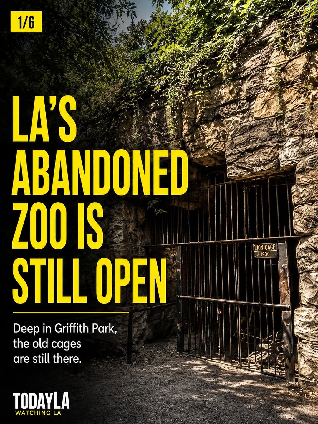 Explore the Abandoned Old Los Angeles Zoo