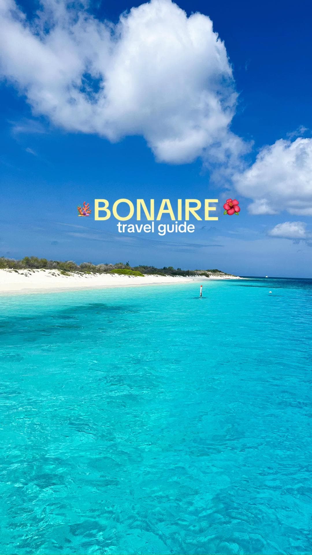Bonaire's Beaches, Resorts, and Natural Wonders