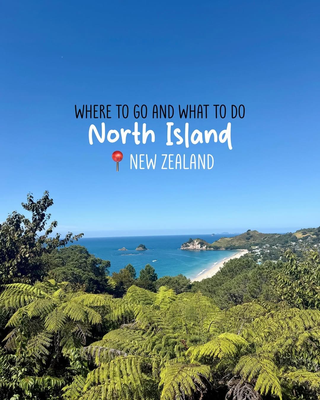 North Island Adventures: Coromandel, Wellington, and More