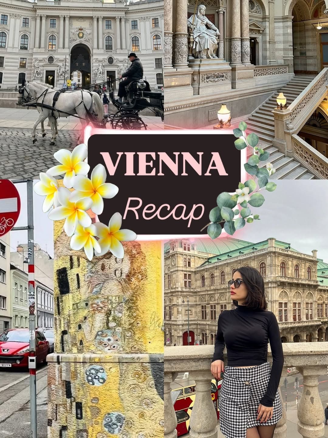 Vienna's Top Attractions, Cafes, and Restaurants