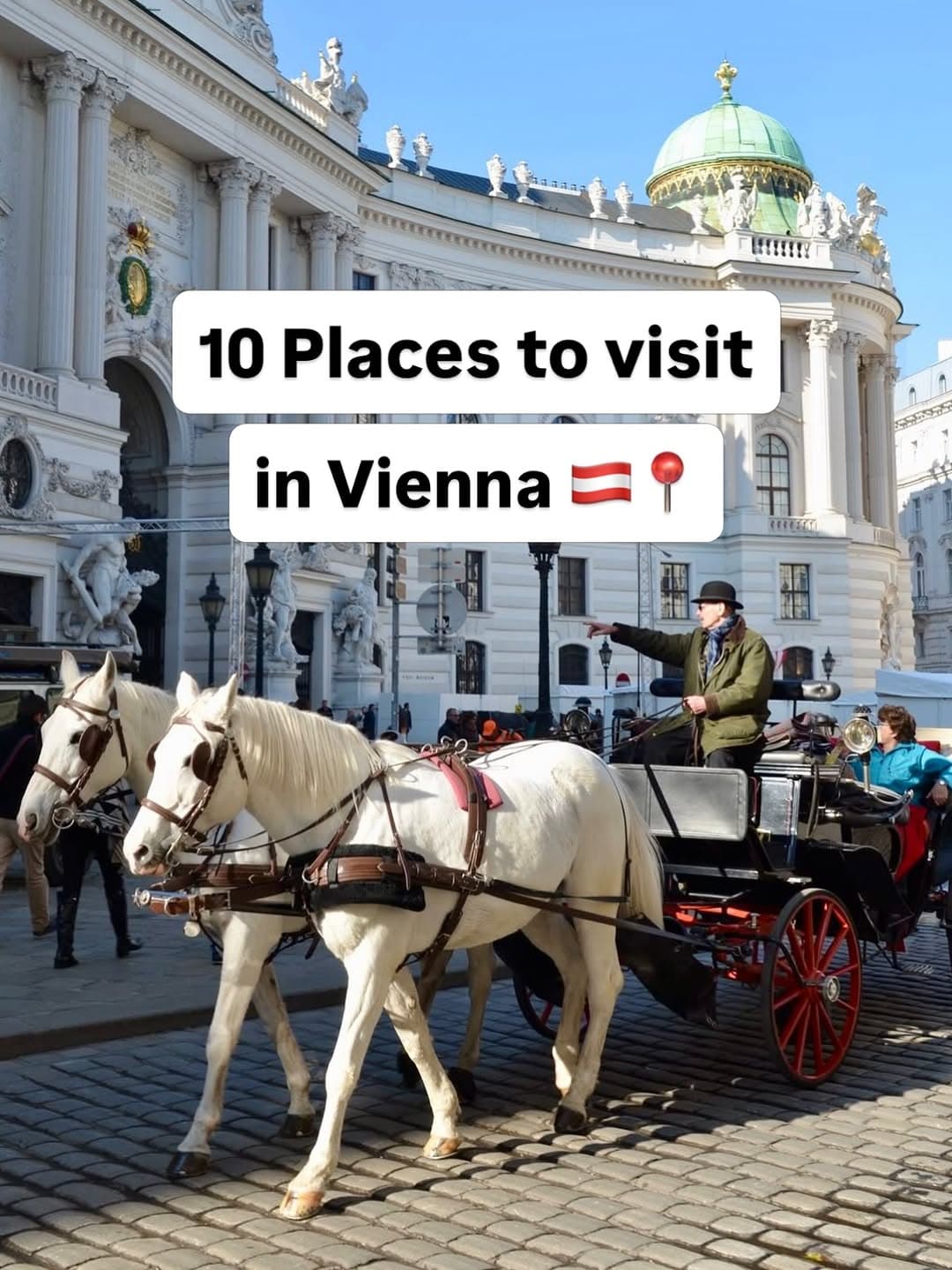Top Attractions and Dining in Vienna