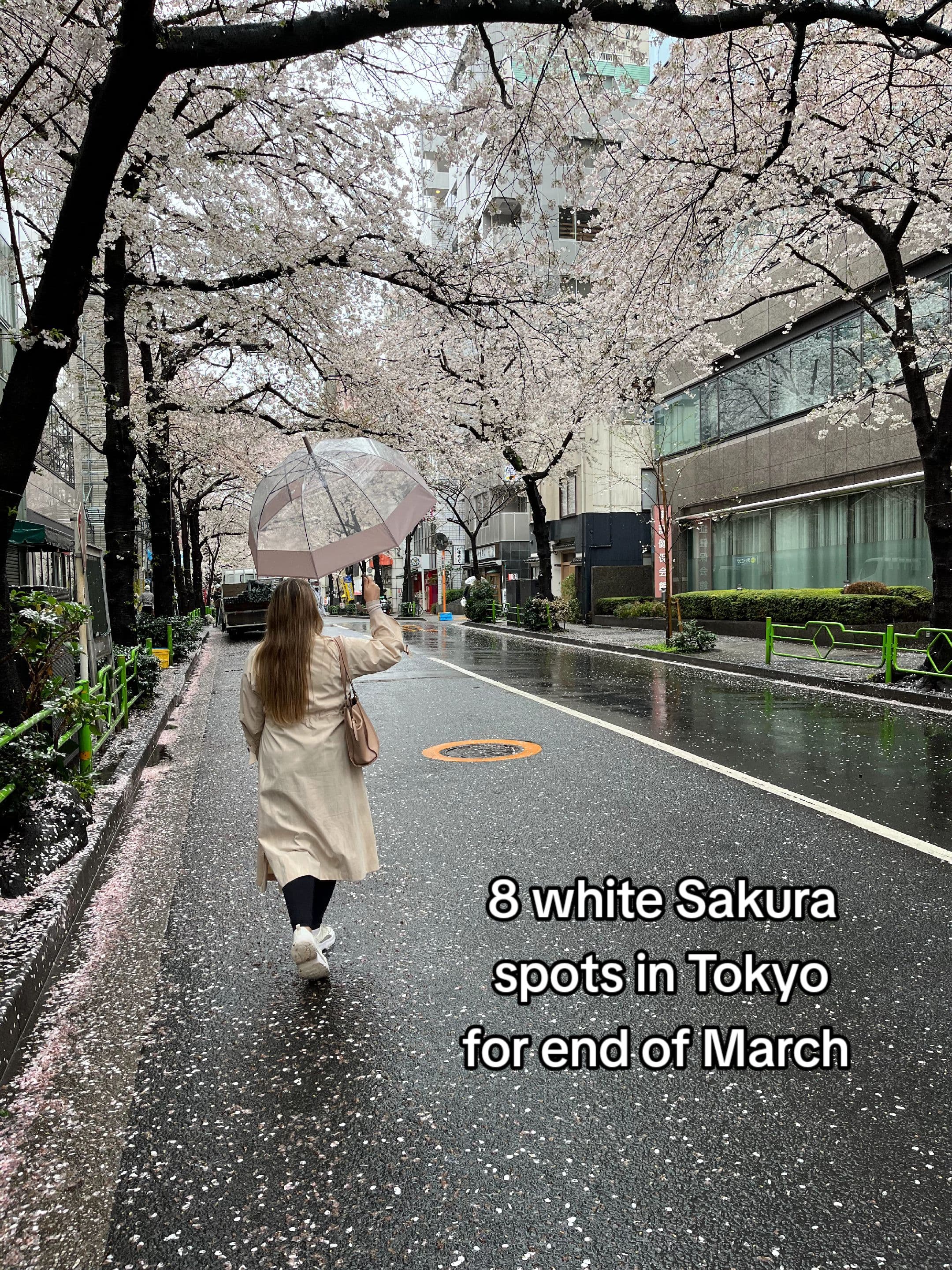 Tokyo's Parks, Gardens, and Riverside Spots