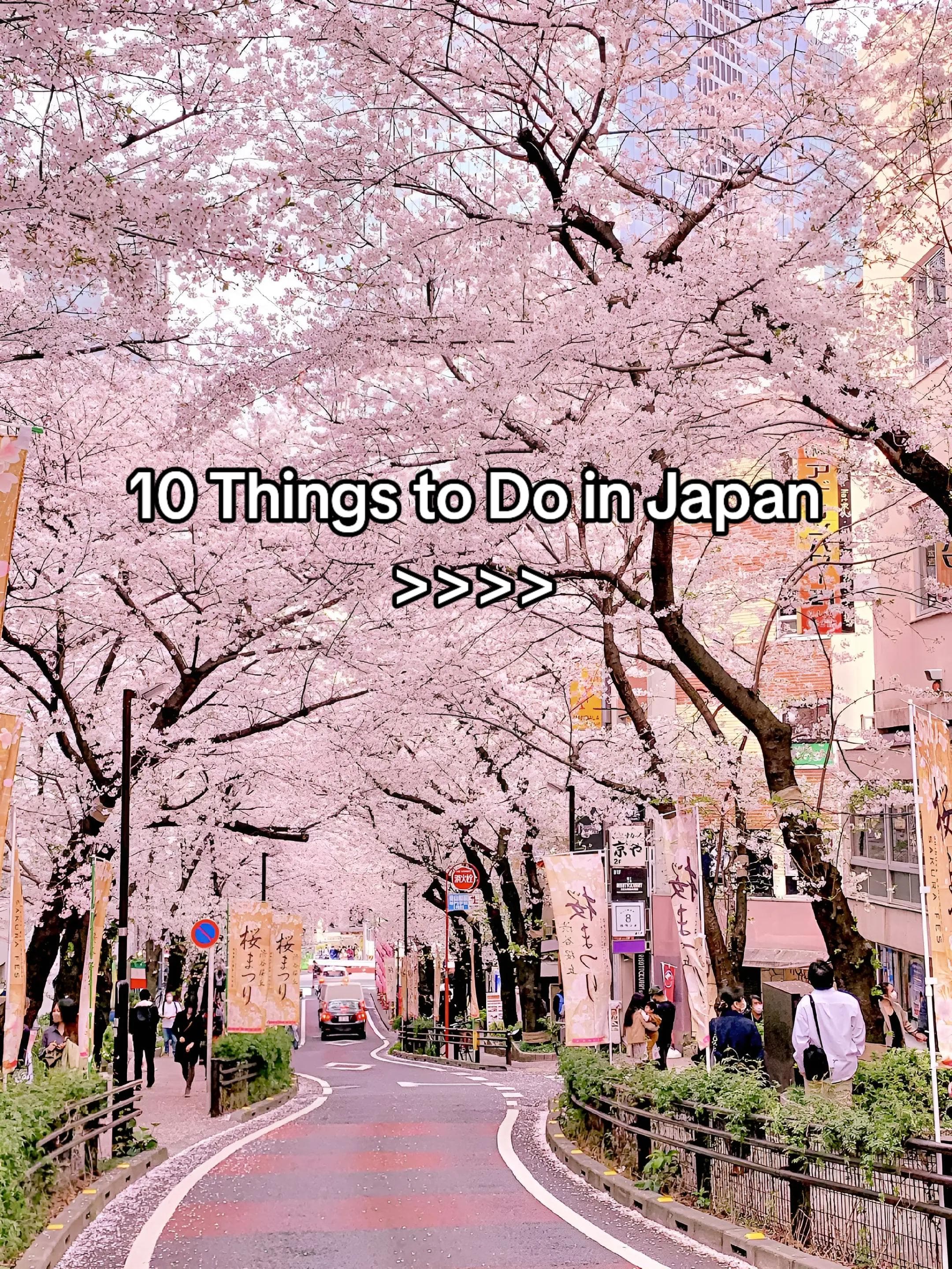 Top 10 Must-Do Attractions Across Japan