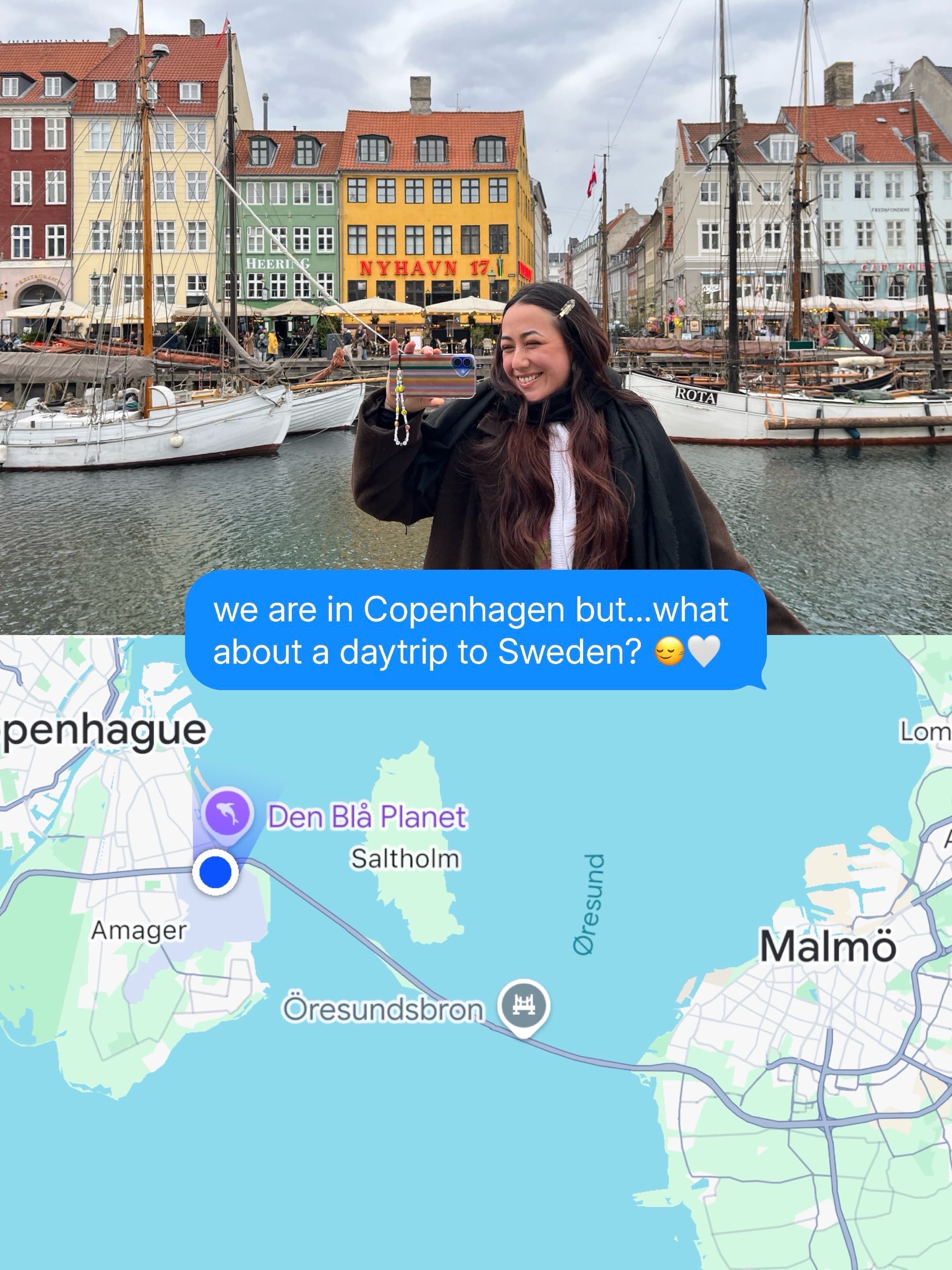 Copenhagen Day Trip to Malmö Landmarks and Food