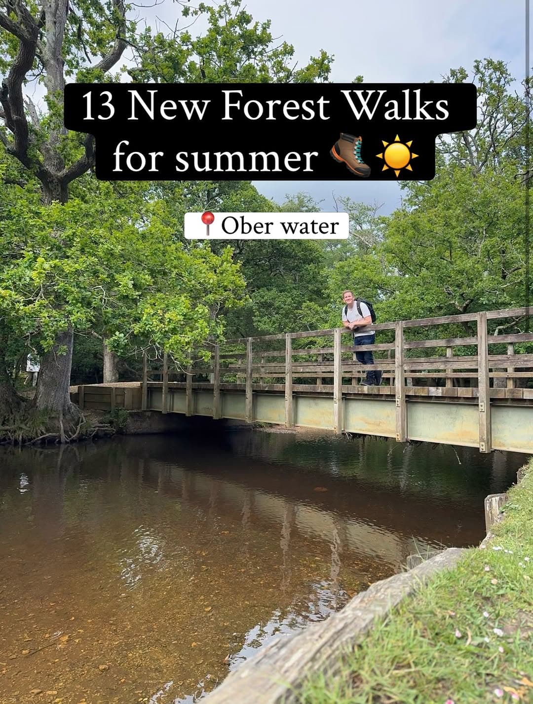 Explore New Forest Summer Walks: Woodland and Coast