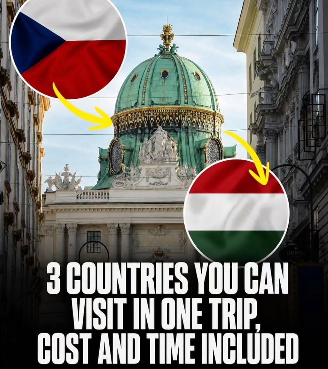 European Train Trips Linking Multiple Countries