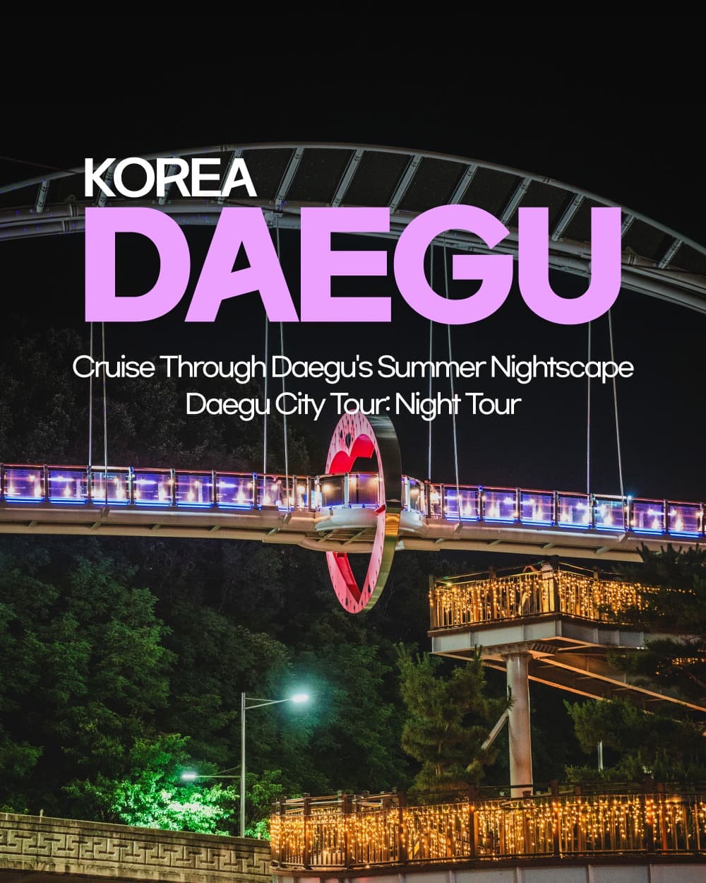 Daegu's Summer Night Tour: Markets and Observatories