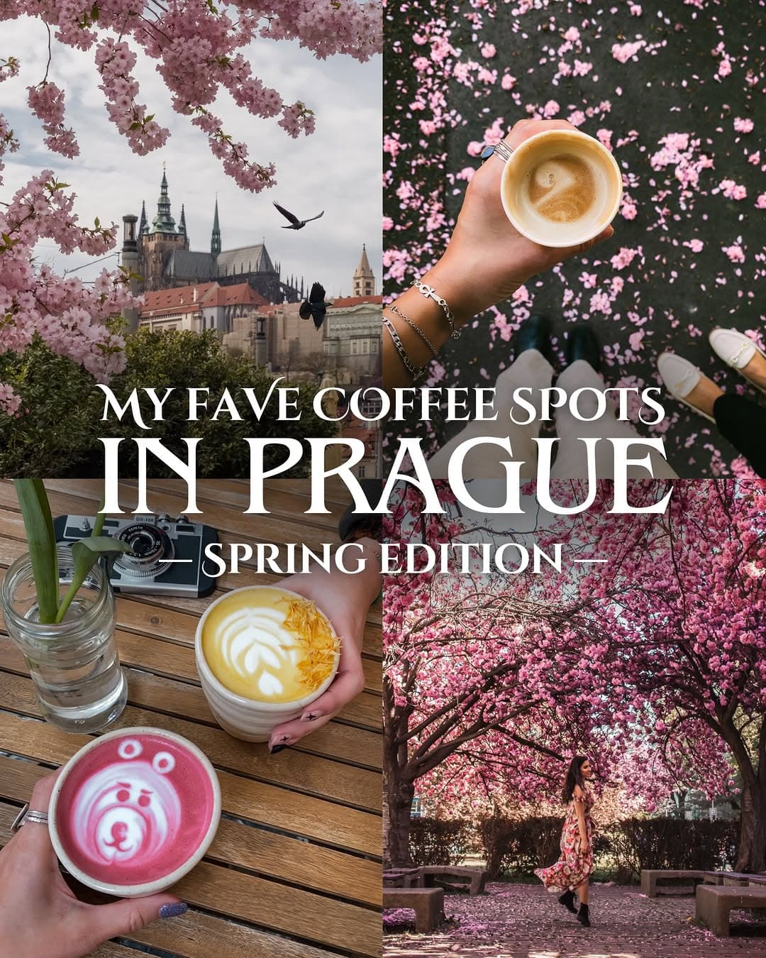 Prague Spring Coffee Guide