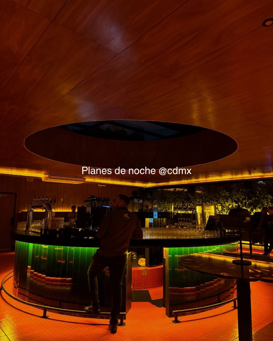 Mexico City's Top Spots for Dining and Nightlife