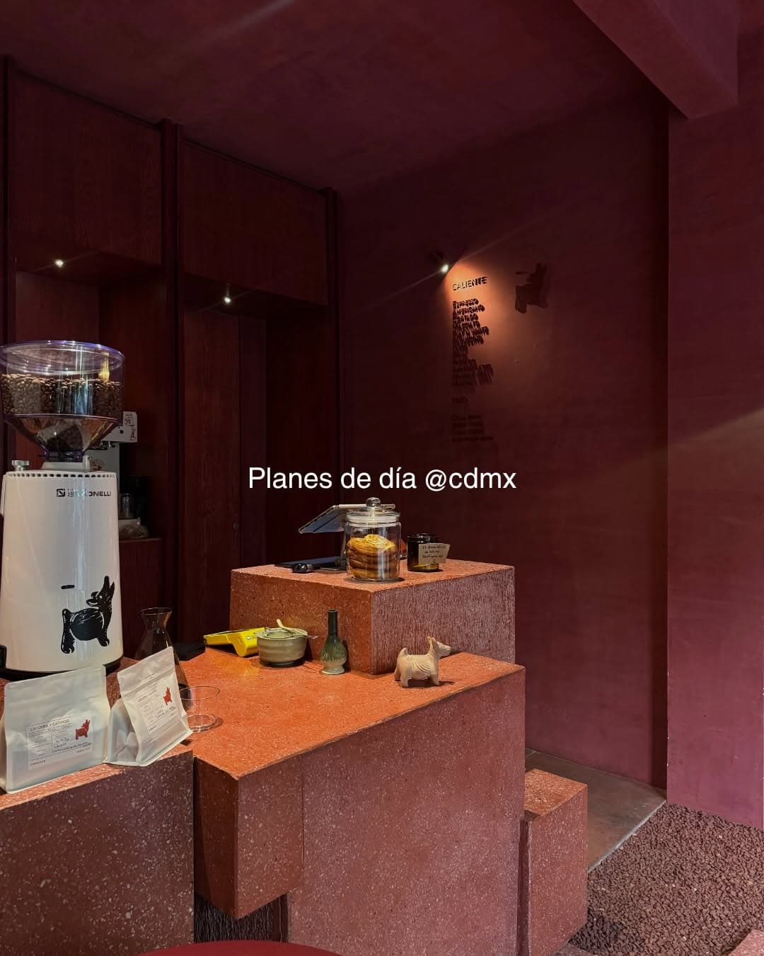 Mexico City Day Plans: Museums, Parks, and Districts