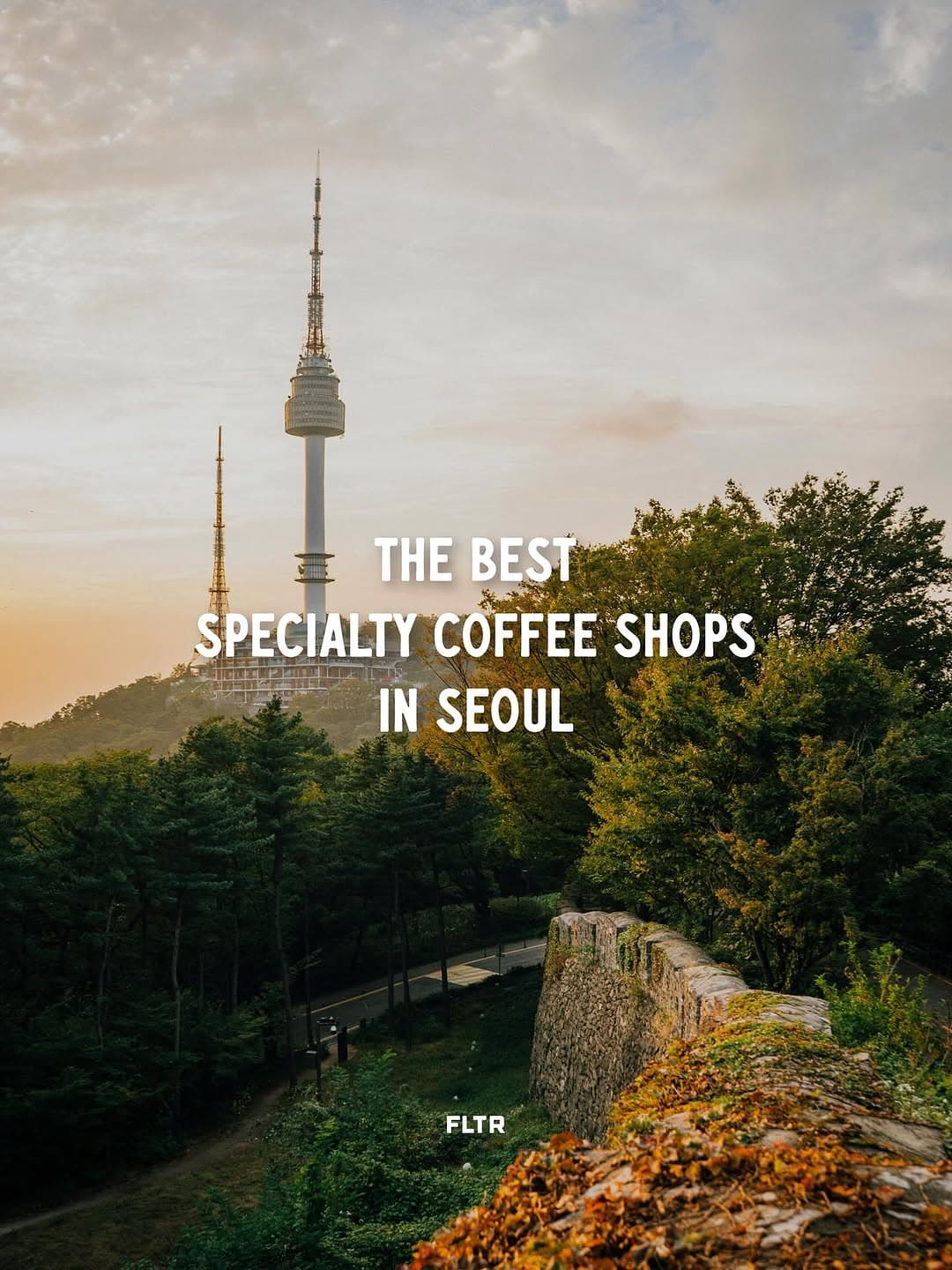 Seoul's Most Talked-About Specialty Coffee Shops