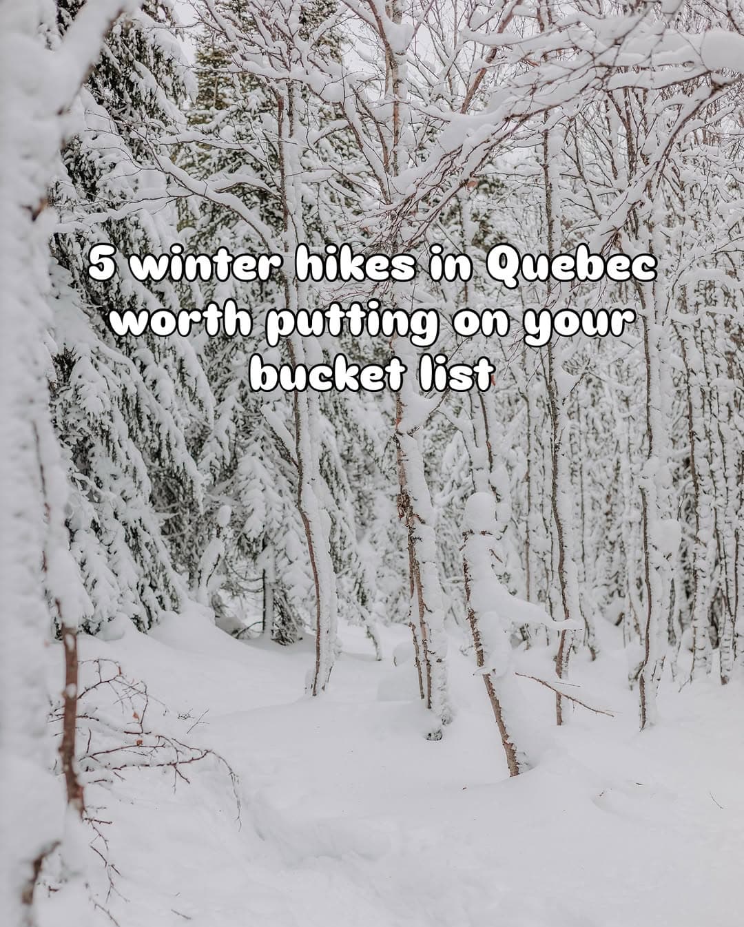 Quebec's Top 5 Winter Hiking Trails