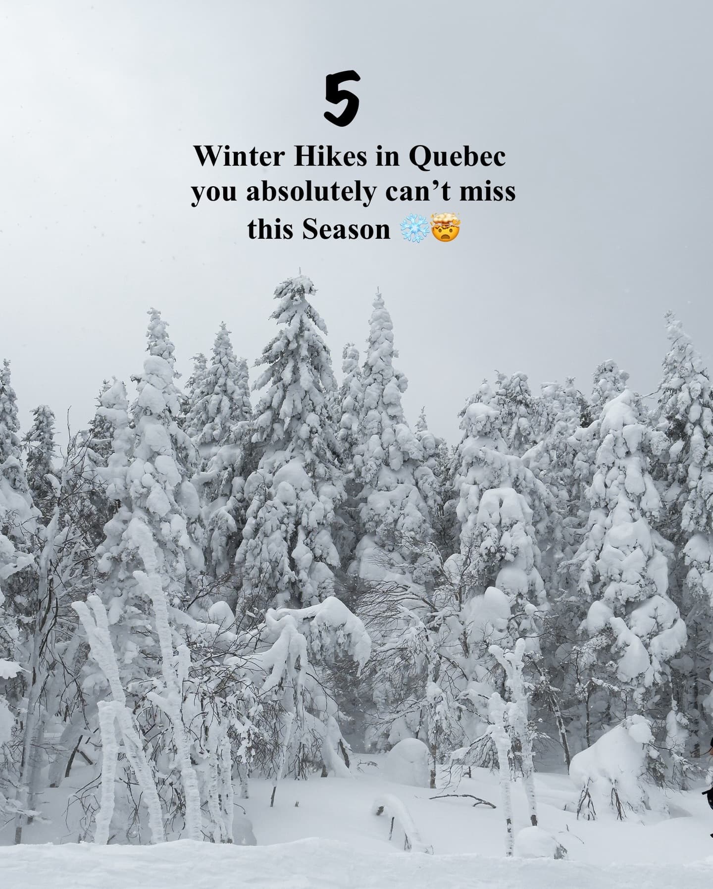 Winter Hikes Across Quebec's Natural Wonders