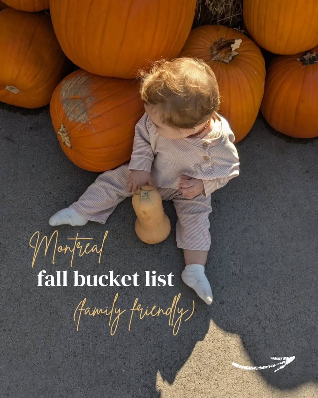 Montreal Fall Activities: Parks, Farms, and Markets