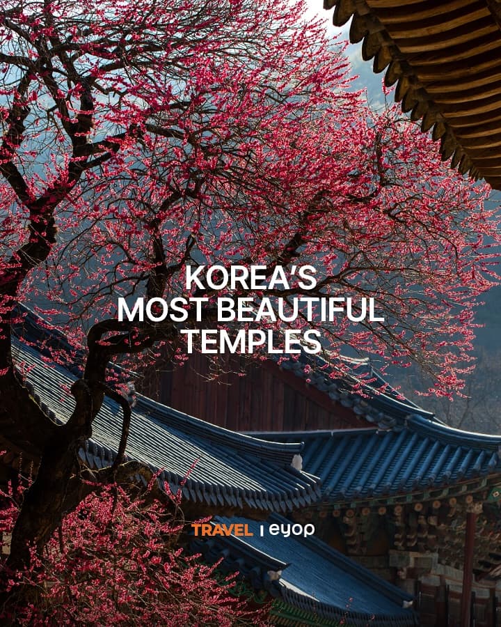 Beautiful Korean Temples Recommended By CNN
