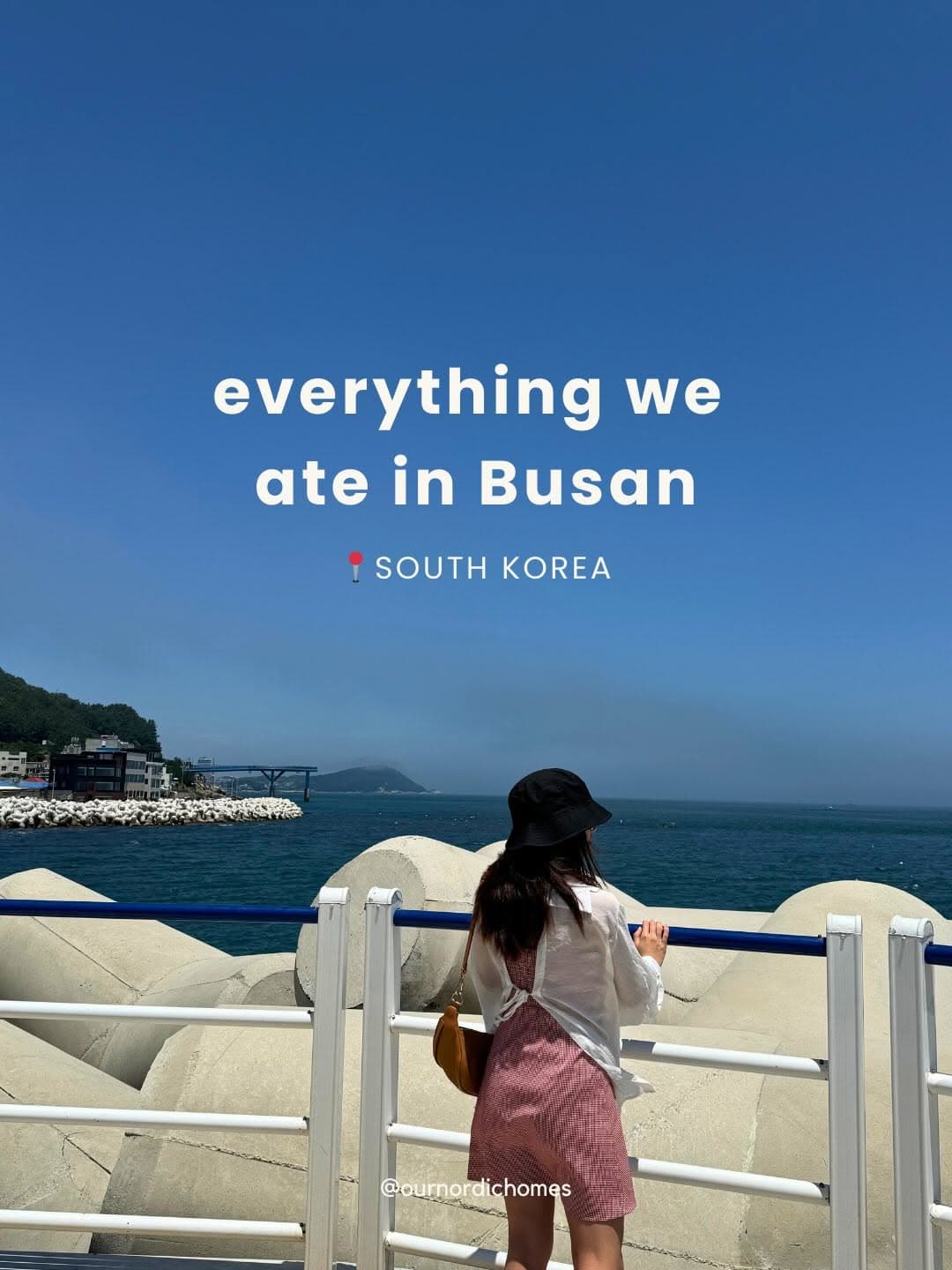 Busan Food Guide: Must-Try Restaurants and Snacks