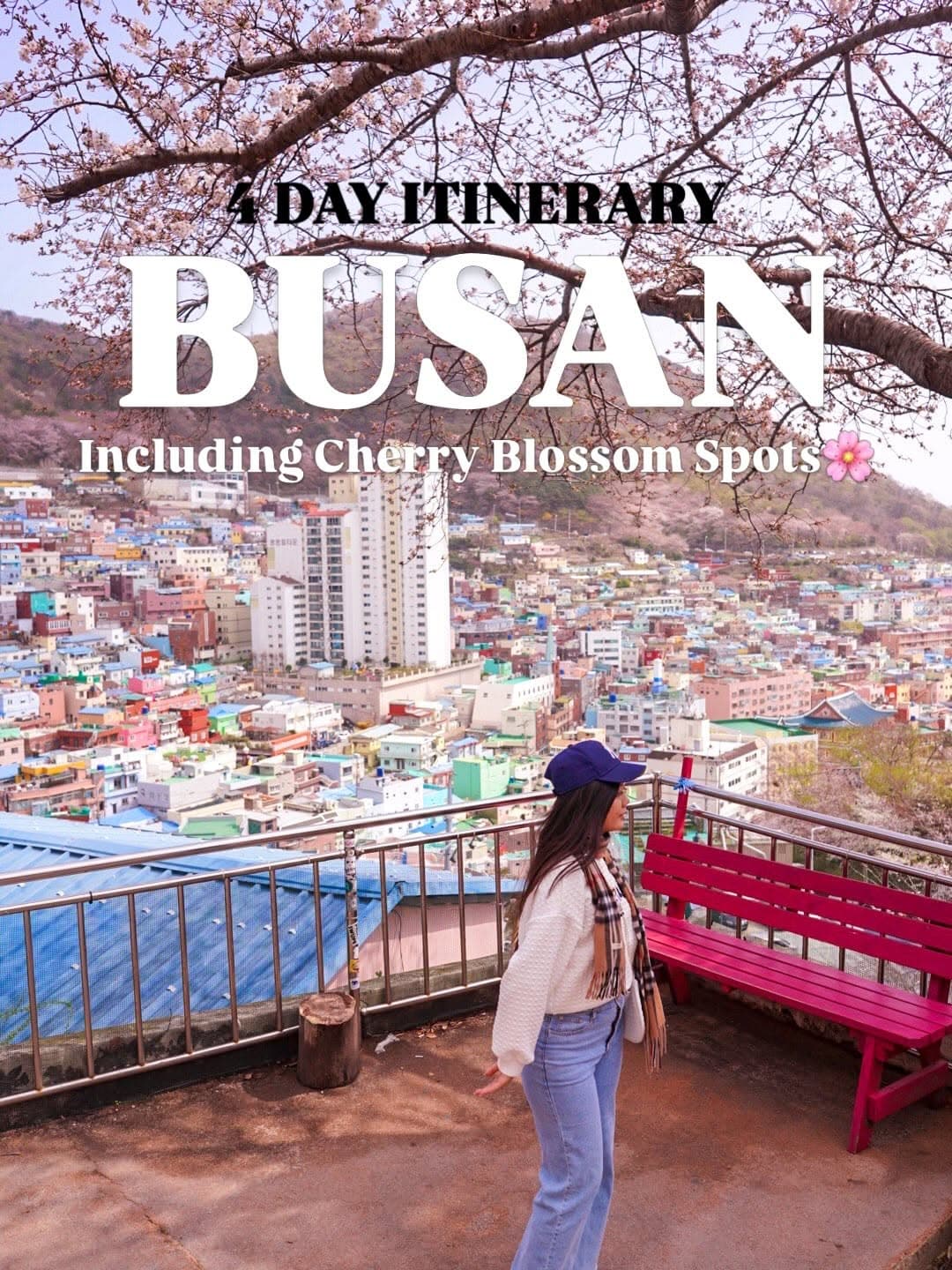 Busan Itinerary: Cherry Blossoms and Coastal Views