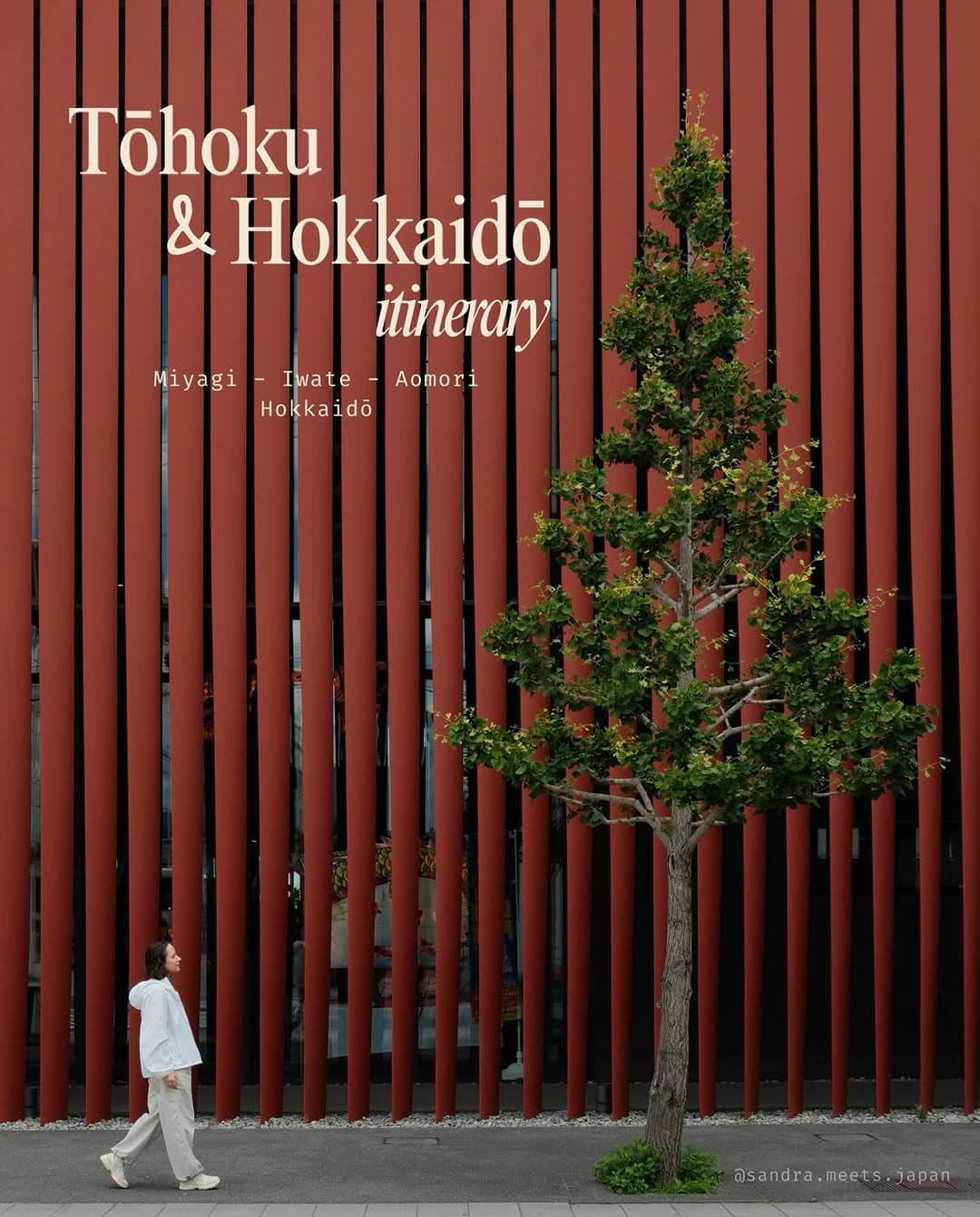 Northern Japan Exploration: Culture, Nature, and History
