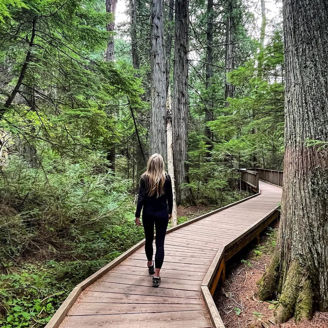 Glacier National Park's Trail of Cedars Boardwalk