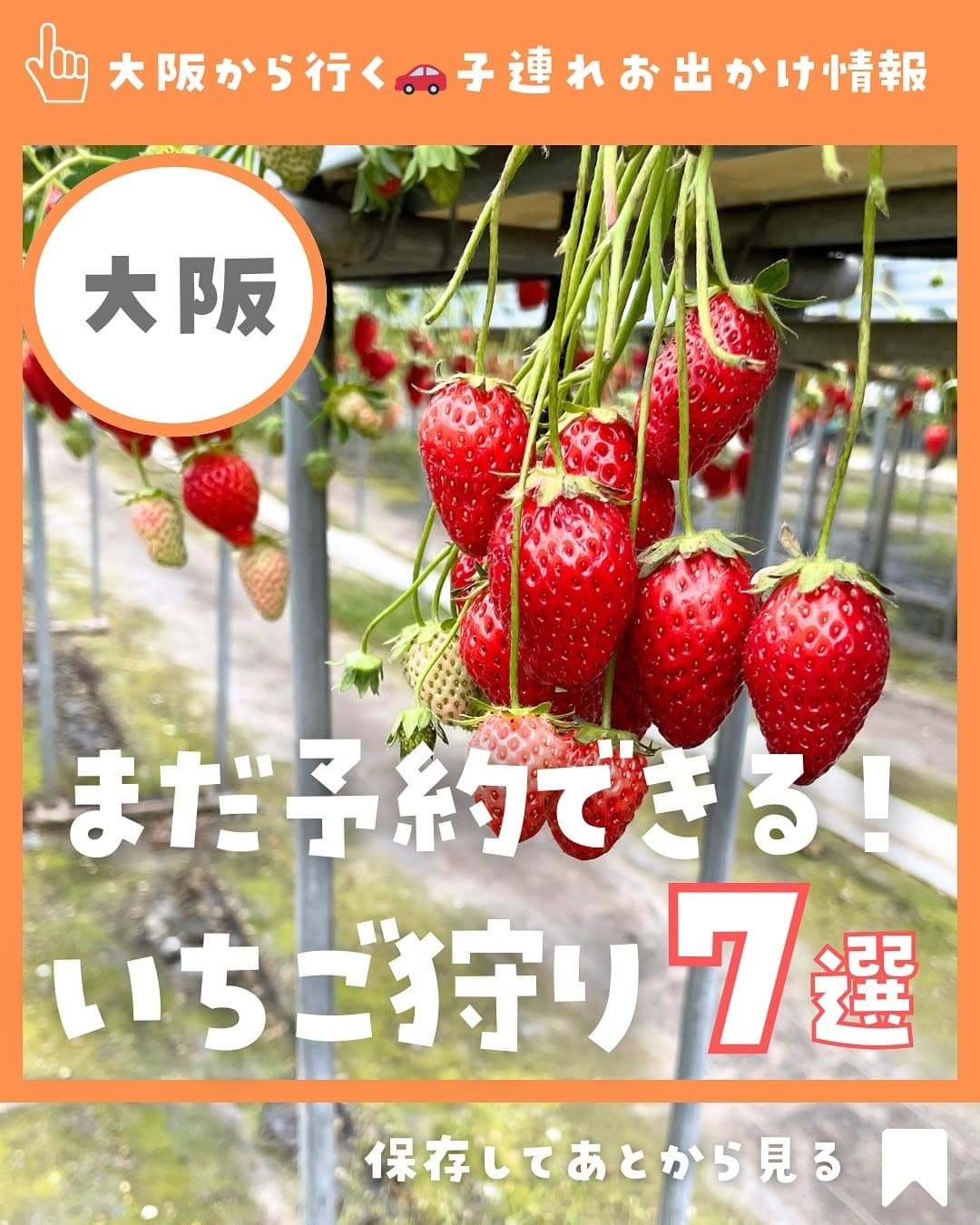 Osaka Strawberry Picking Spots With Reservations Available