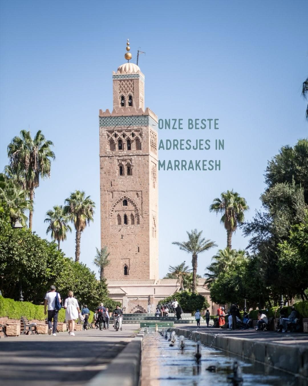 Top Marrakech Destinations for Your Moroccan Trip