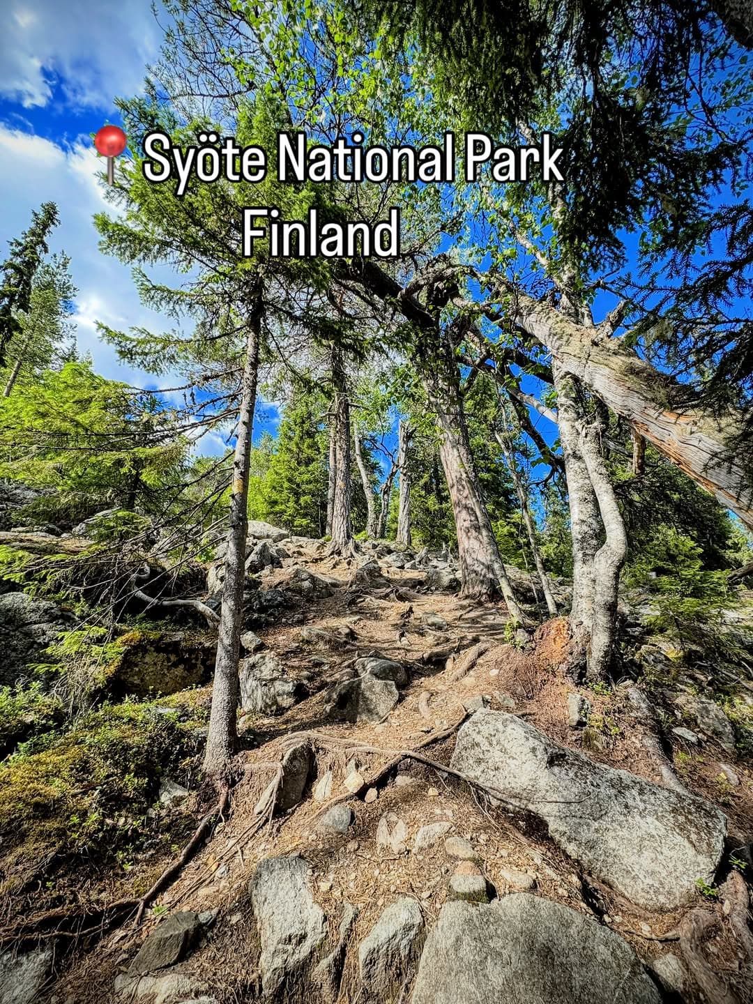 Syöte National Park: Ancient Forests and Rolling Fells