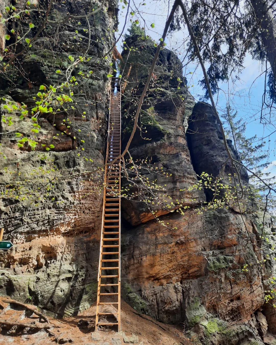 Saxon Switzerland's Hercules Pillars And Sachsenstein