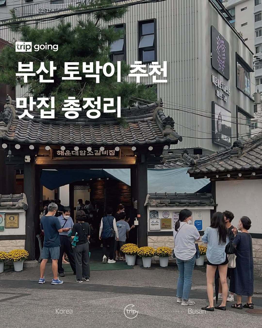 Busan's 24 Gastronomic Gems Recommended By Locals