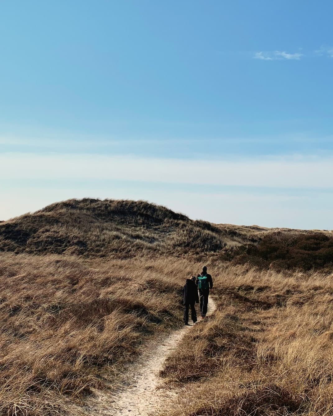 Premium Hiking Trail Through Forest, Bogs, and Dunes