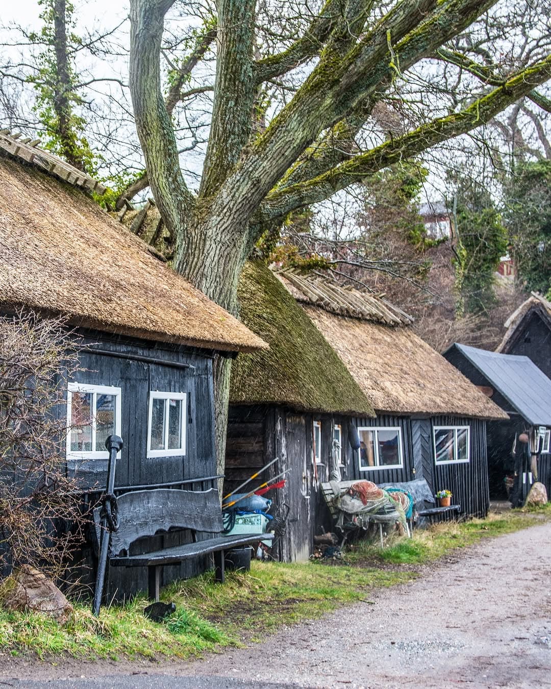 Svendborg Area Coastal Charm
