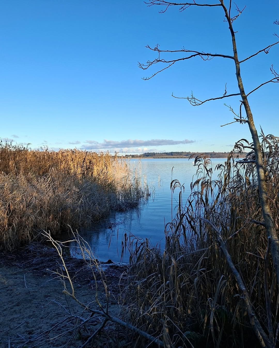 New Hiking Route Around Vandet Lake