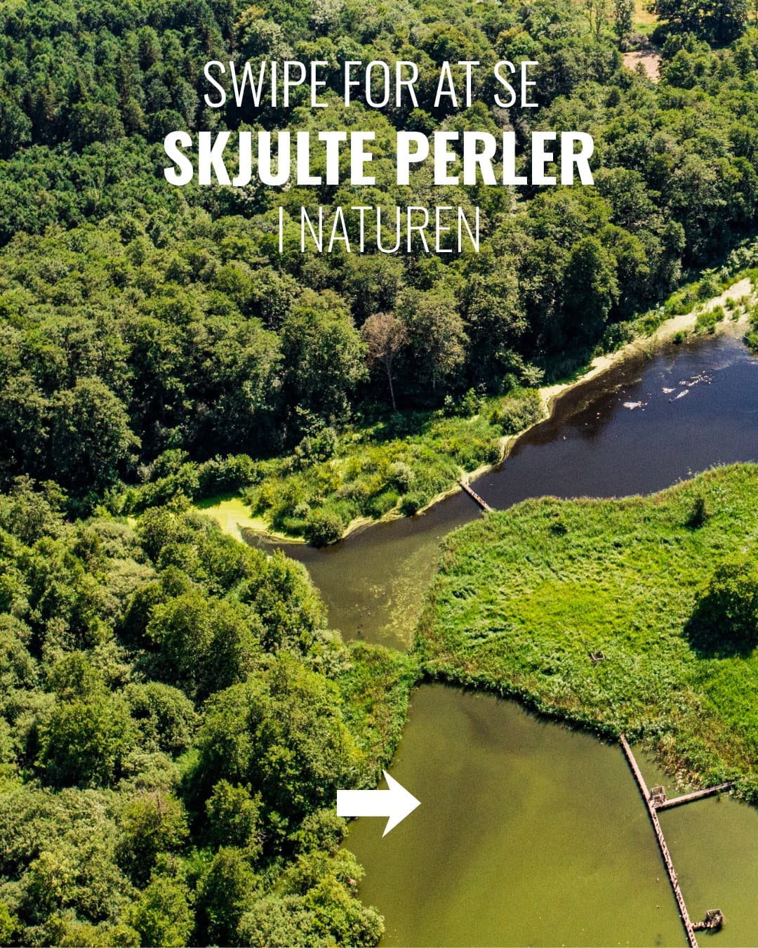 Seven Undiscovered Nature Gems in Destination Sjælland