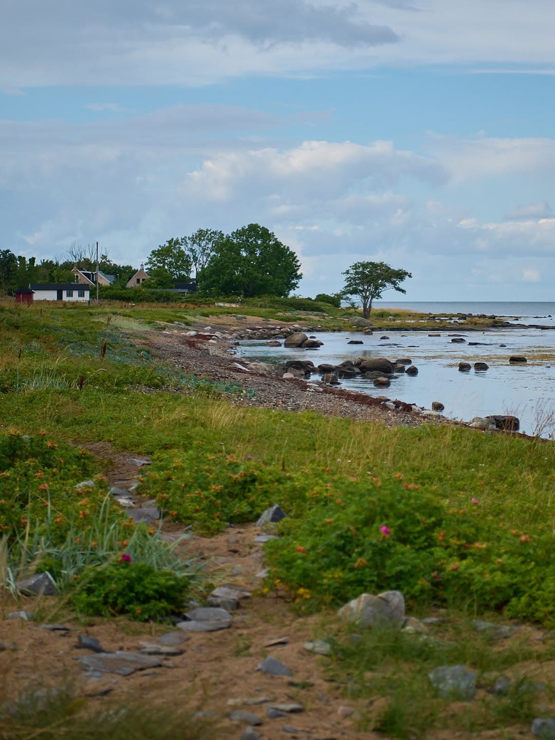 Coastal Nature and Ancient Rock Carvings