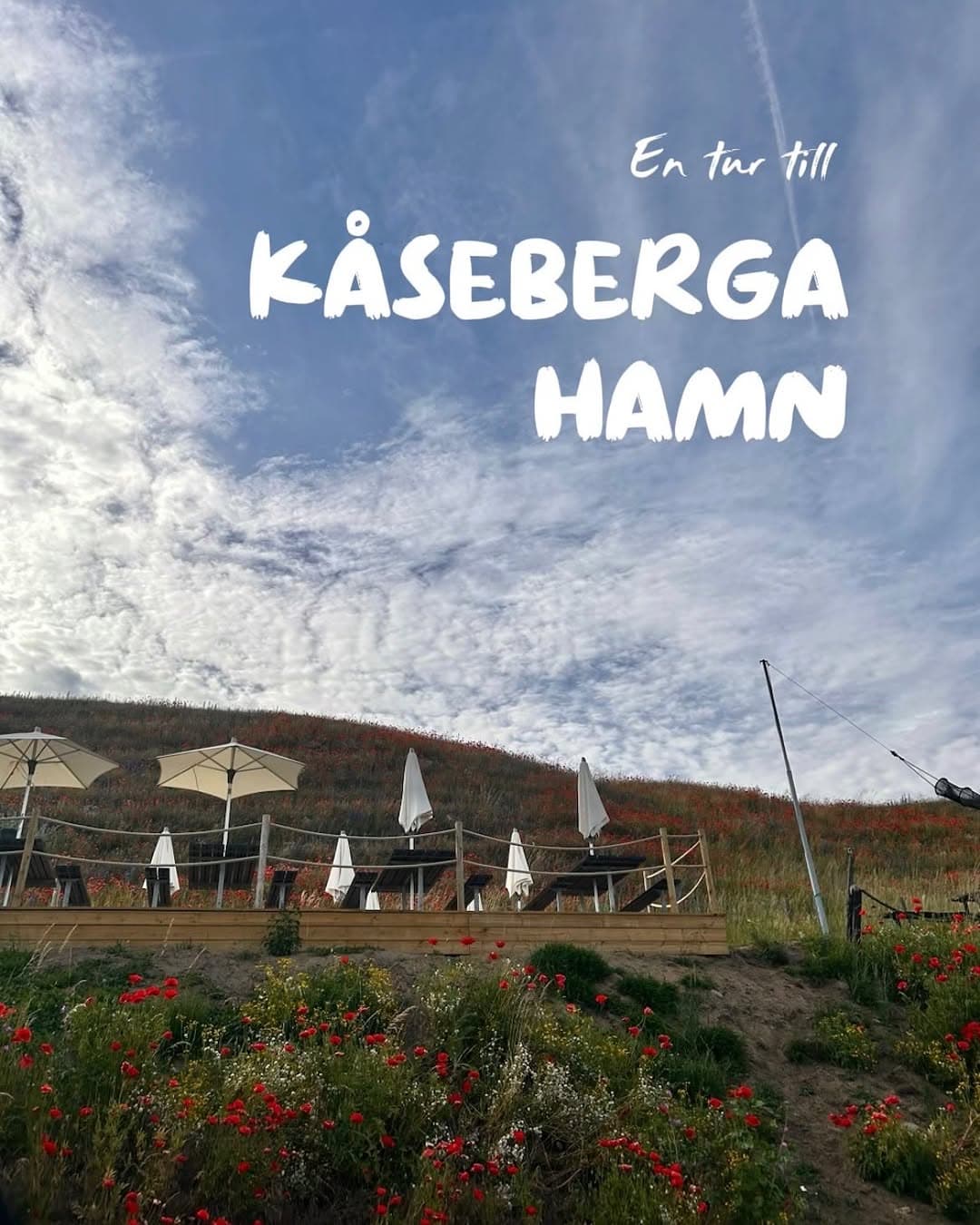 Kåseberga Harbour & Ales Stones