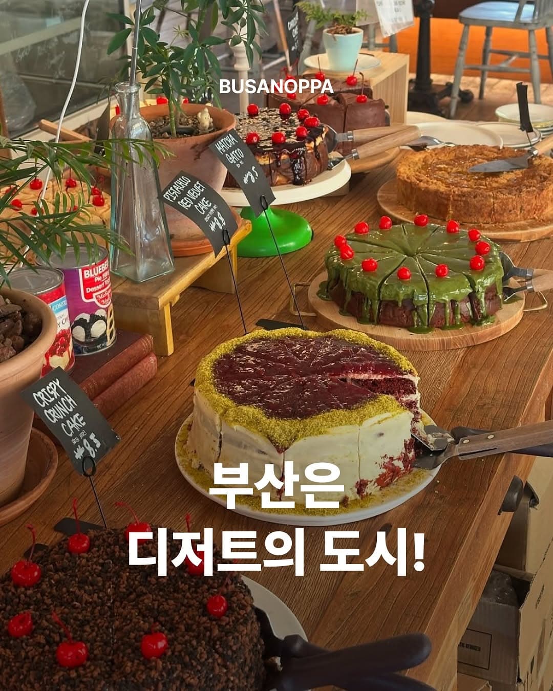 Best Busan Cafes For Delicious Desserts