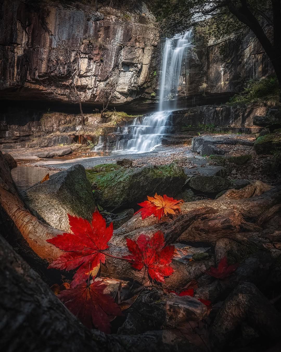 Soookpo Waterfall and Soookjeong Tourist Site