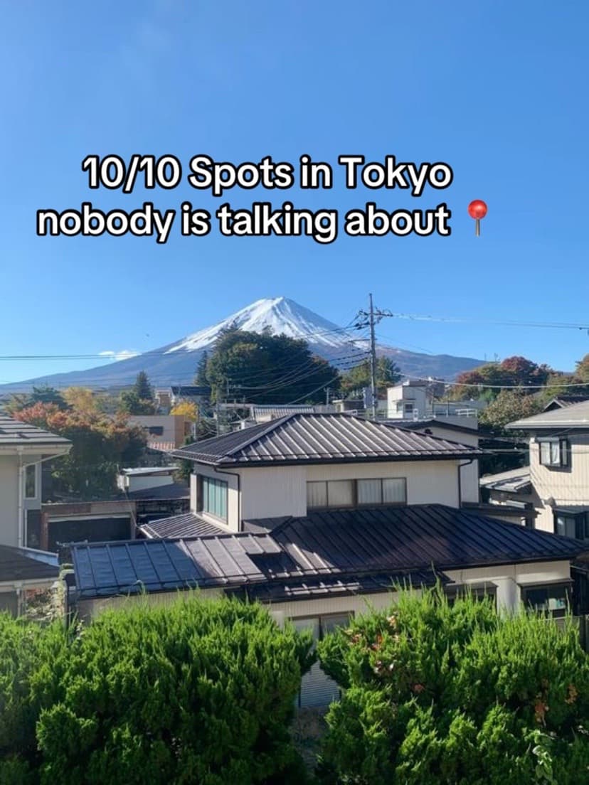 Tokyo's Hidden Aesthetic Spots