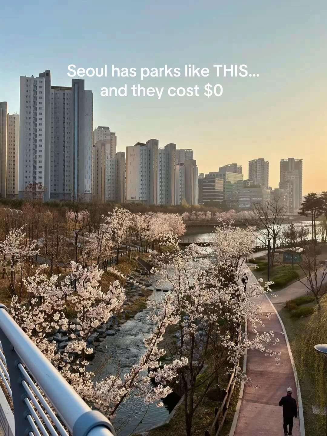 Seoul Parks Showcase Natural Beauty And City Views
