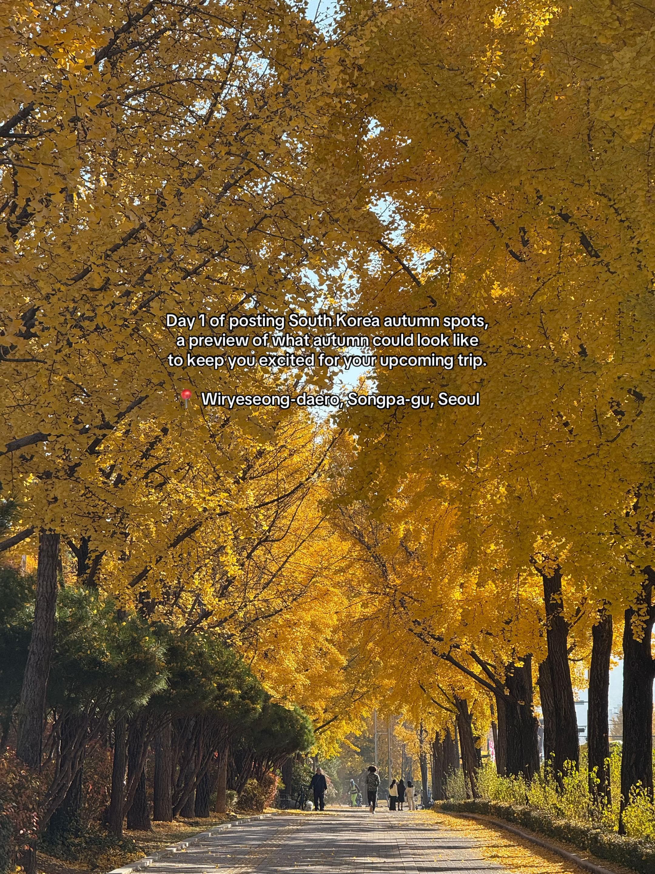 Autumn Walks Near Olympic Park