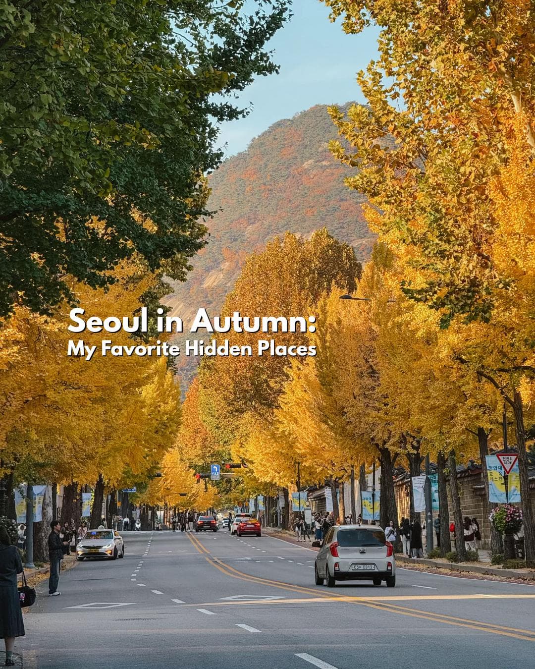 Hidden Autumn Gems in Seoul and Beyond